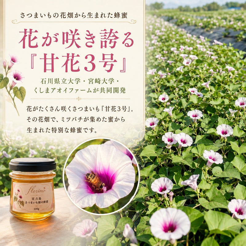 さつまいもの花と甘花3号について