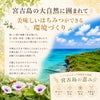 宮古島の自然