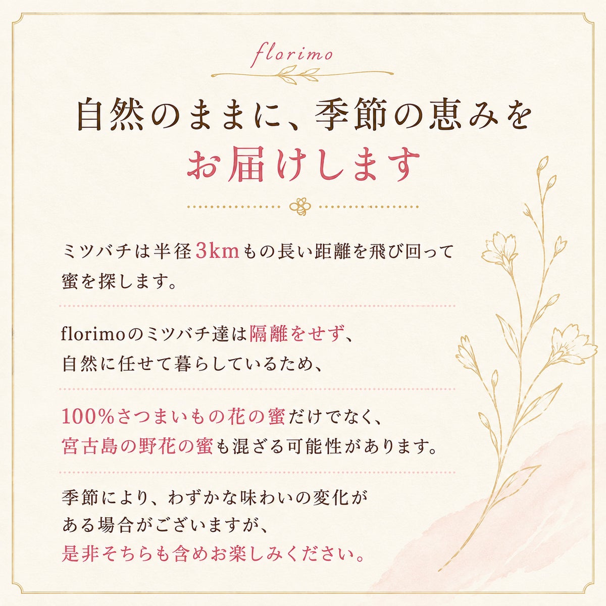 florimoについて